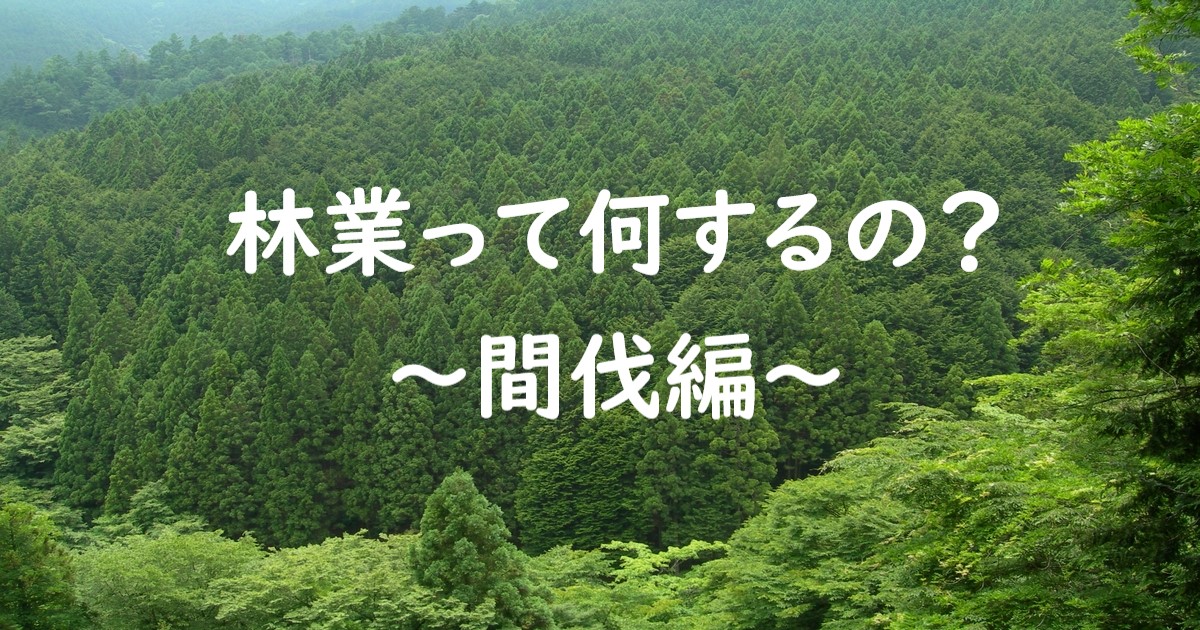 【解説】林業(造林)の「補植」とは。目的、時期、道具、方法をご紹介! - 里山の小さな暮らし